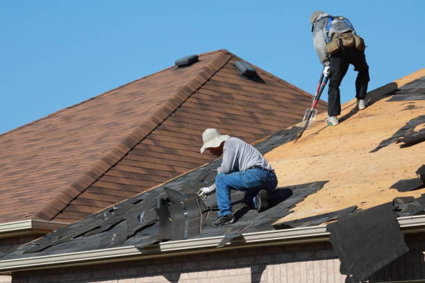Best Metal Roofing Installation  in Perry, GA