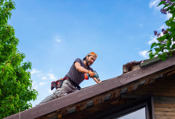 Best Emergency Roof Repair Services  in Perry, GA
