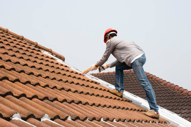 Fast & Reliable Emergency Roof Repairs in Perry, GA