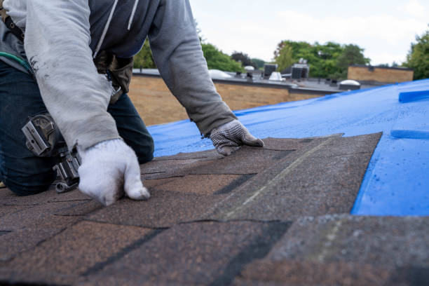 Fast & Reliable Emergency Roof Repairs in Perry, GA