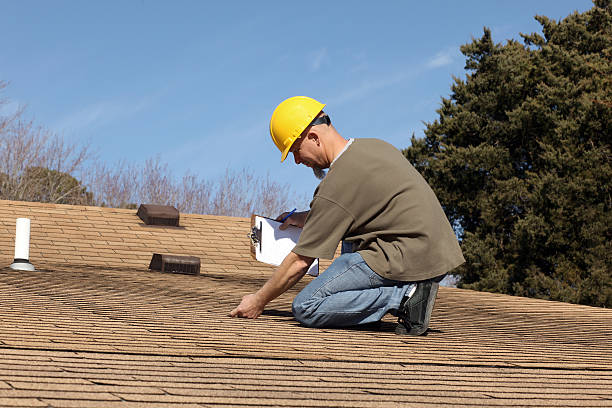 Best Skylight Installation and Repair  in Perry, GA